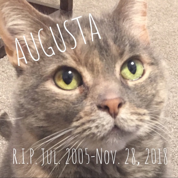 Smoke-free, pet friendly home! - Picture 5 of 5